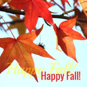 autumn-leaves-with-text-reading-happy-fall